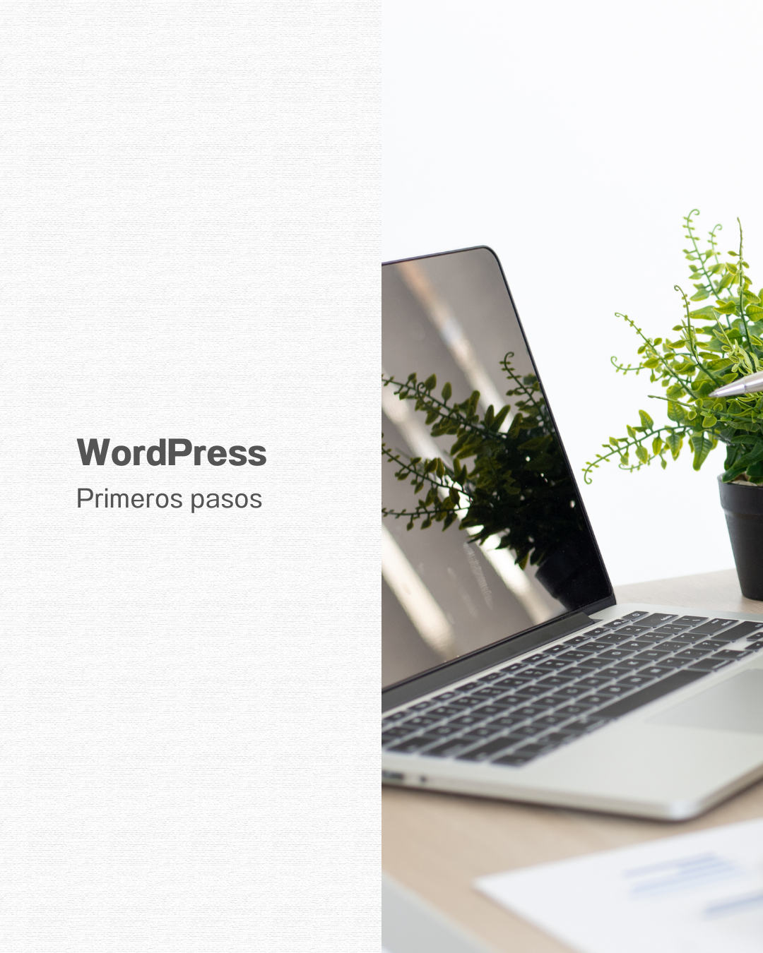 Curso WordPress - Primeros pasos