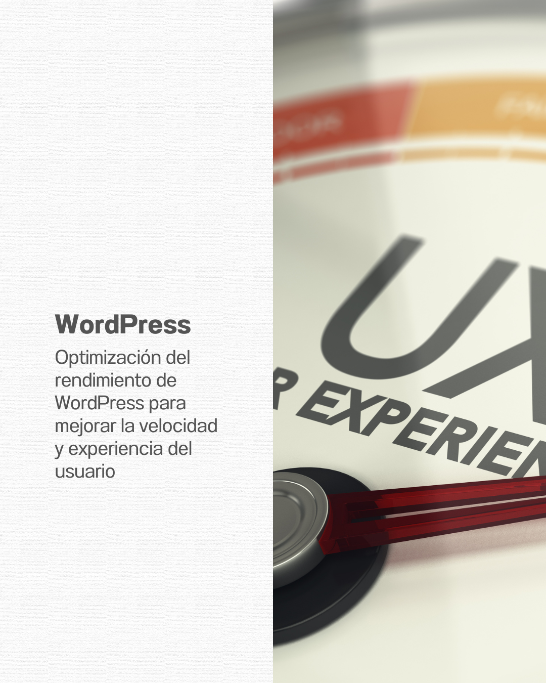 Curso WodPress - Optimización del rendimiento de WordPress para mejorar la velocidad y experiencia del usuario